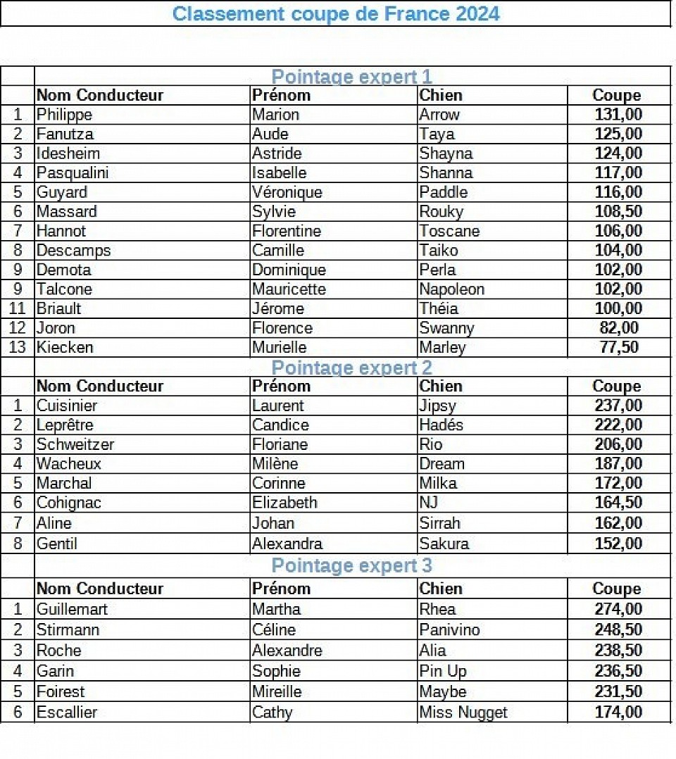 Classement coupe de France 2024