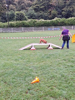 Chantilly 20/07/2025