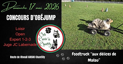 Stage et concours d'obéjump de Chantilly