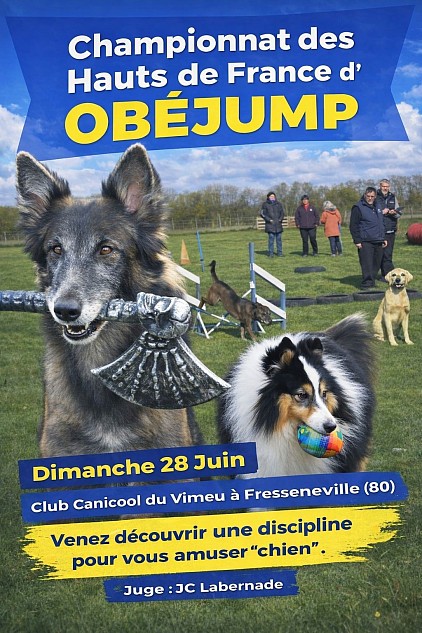 Championnat des hauts de France D'obéjump...